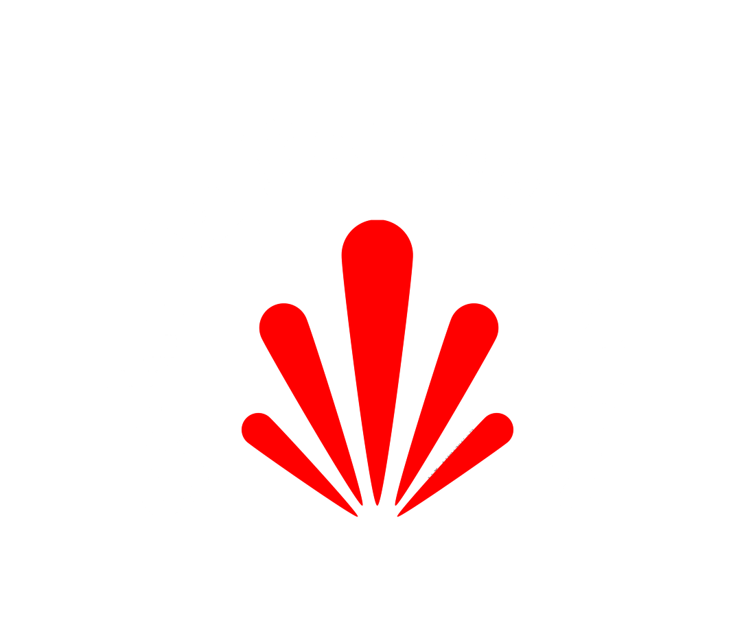 Partner- und Vertrauens-Logos in einer Reihe